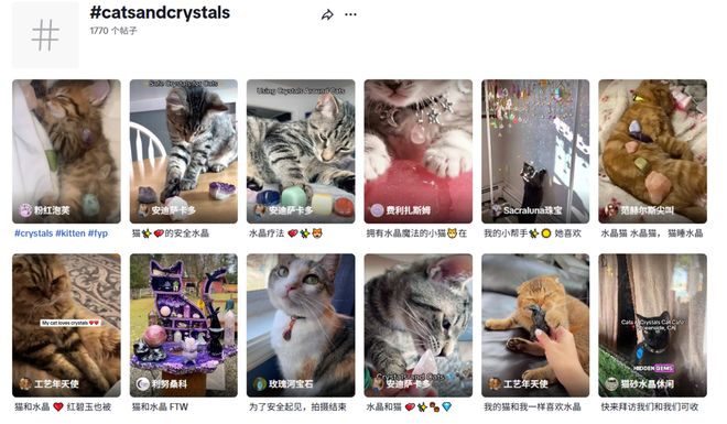 卖家单品月销6000单开元棋牌宠物水晶成爆款(图4) 卖家单品月销6000单开元棋牌宠物水晶成爆款(图4)