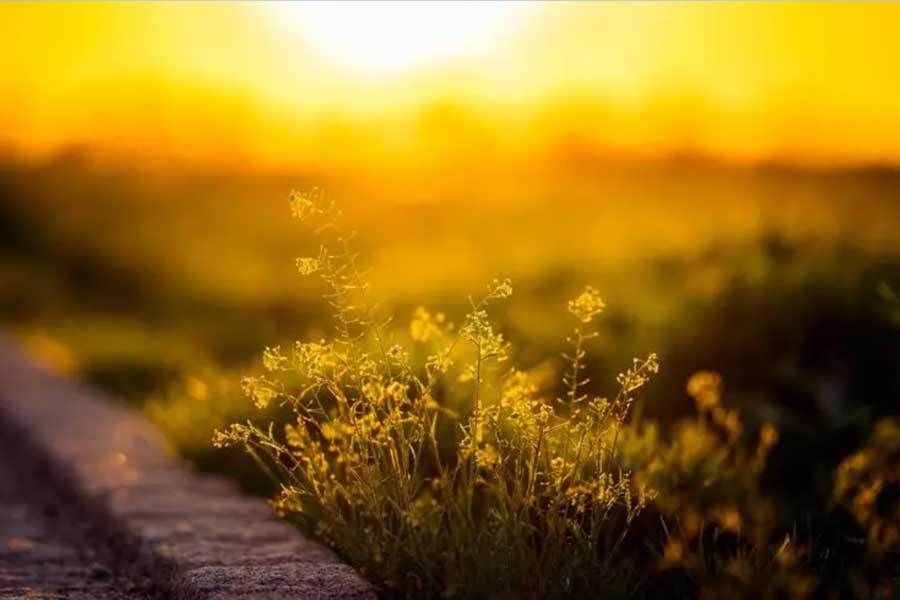 角色人气飙升周边缺货开元ky棋牌新动漫