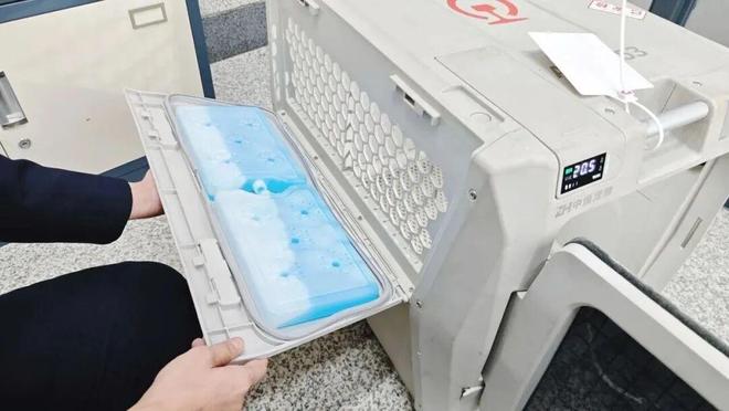 旅途有烟火出行有温度！开元棋牌网站新春走基层(图7)